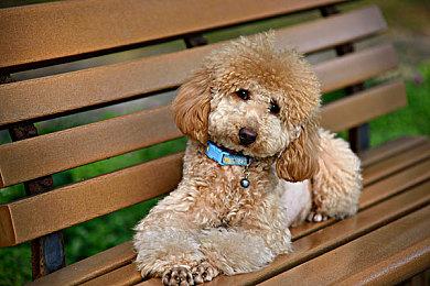 《inZOI(云族裔)》试玩版已上线 游戏精美截图欣赏